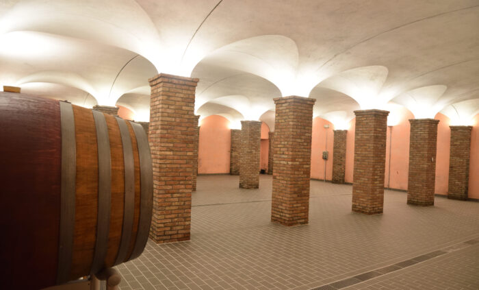 Enoturismo Bellaria