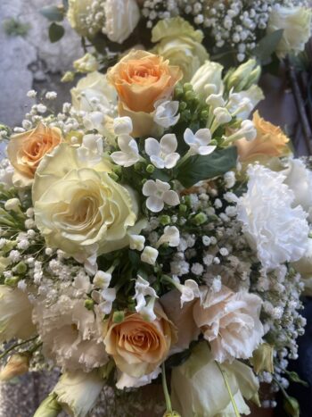 Denroses