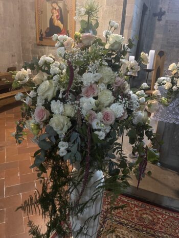 Denroses 