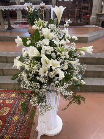 Denroses
