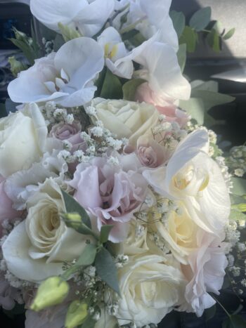 Denroses