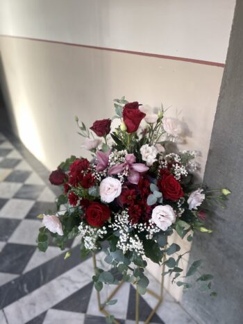 Denroses 