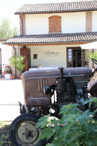 Enoturismo Bellaria