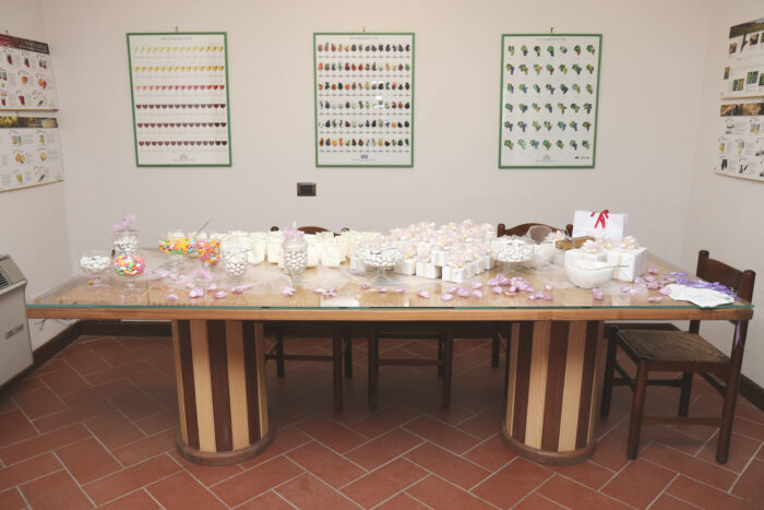 Enoturismo Bellaria