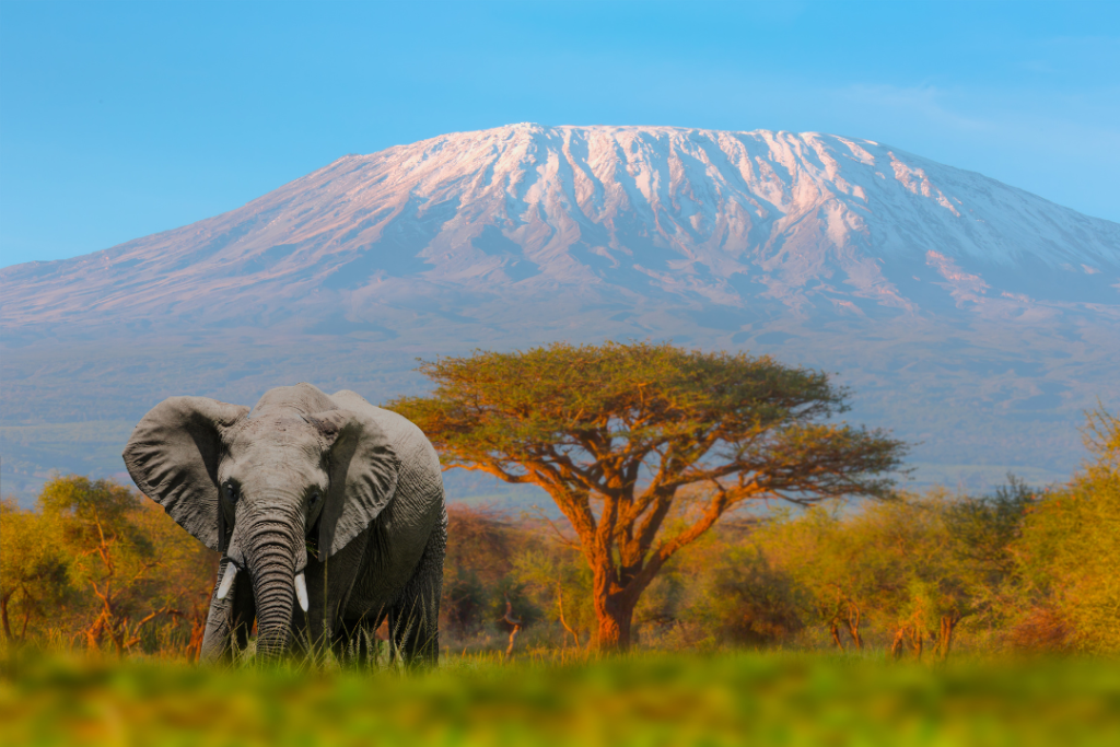 Tanzania