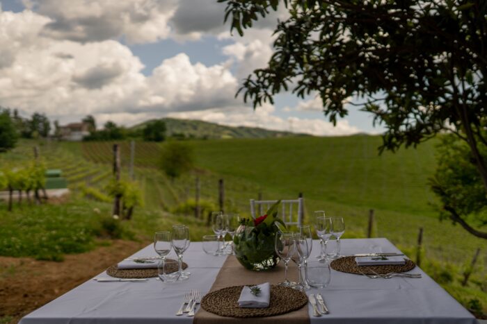 Enoturismo Bellaria