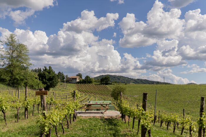Enoturismo Bellaria