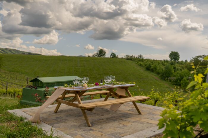 Enoturismo Bellaria