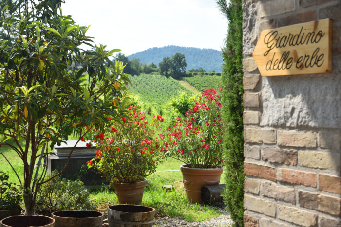 Enoturismo Bellaria