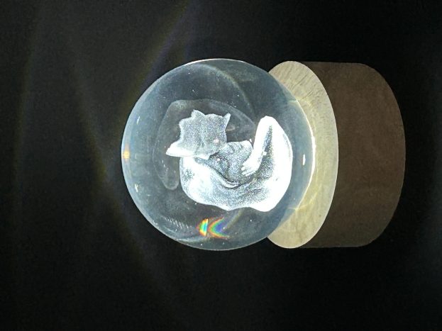 Sfera led sposi