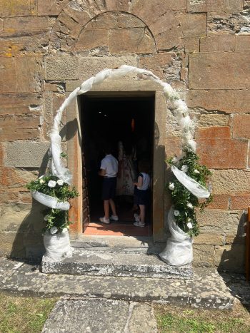 Fiori e piante il petalo