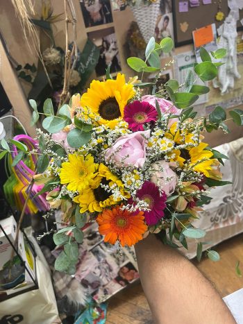 Fiori e piante il petalo