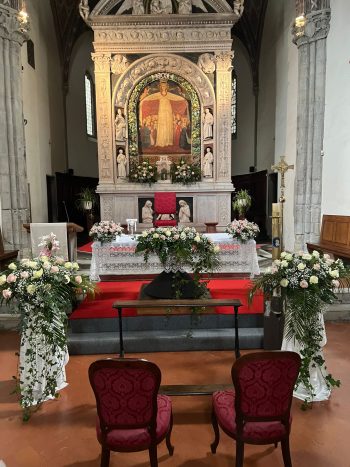 Fiori e piante il petalo