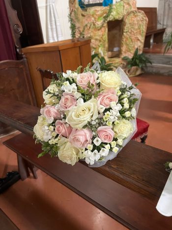 Fiori e piante il petalo
