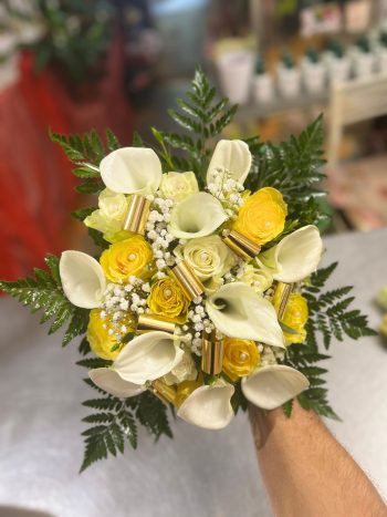 Fiori e piante il petalo