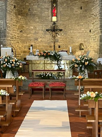 Fiori e piante il petalo