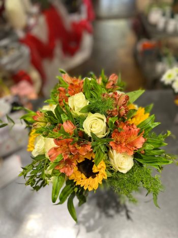 Fiori e piante il petalo