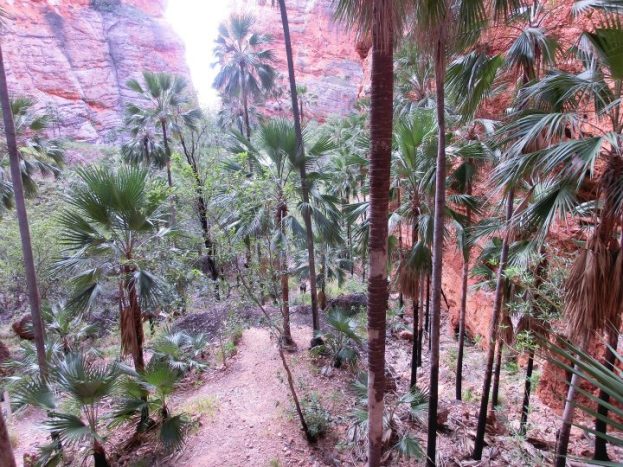 AUSTRALIA