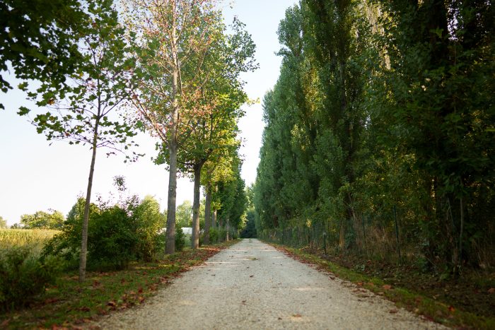 Viale di ingresso alla Tenuta