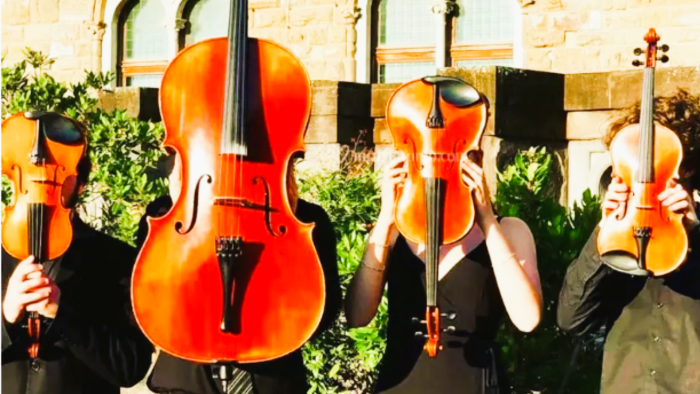 Strings Quartet