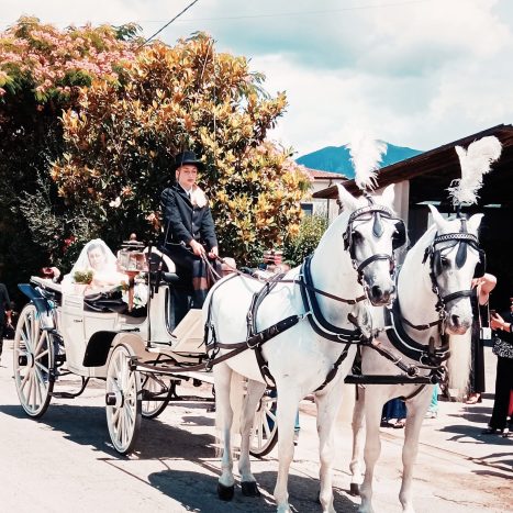 Carrozza con cavalli bianchi