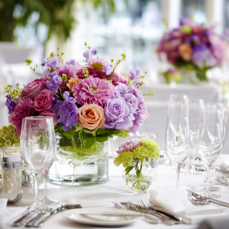 mise en place colorata