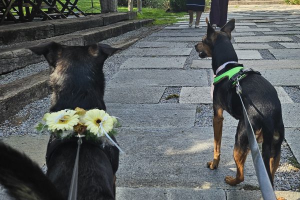 Ares e Clarissa