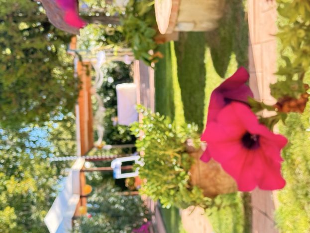 cerimonia nel parco