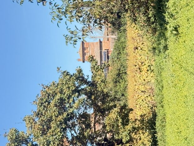cerimonia nel parco