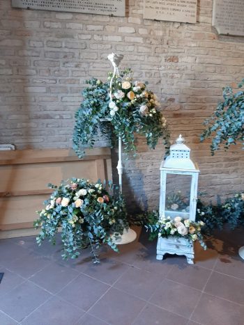 Anaphalis di Francesca Faella