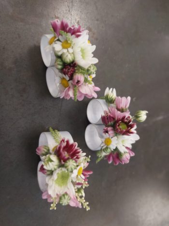 Anaphalis di Francesca Faella